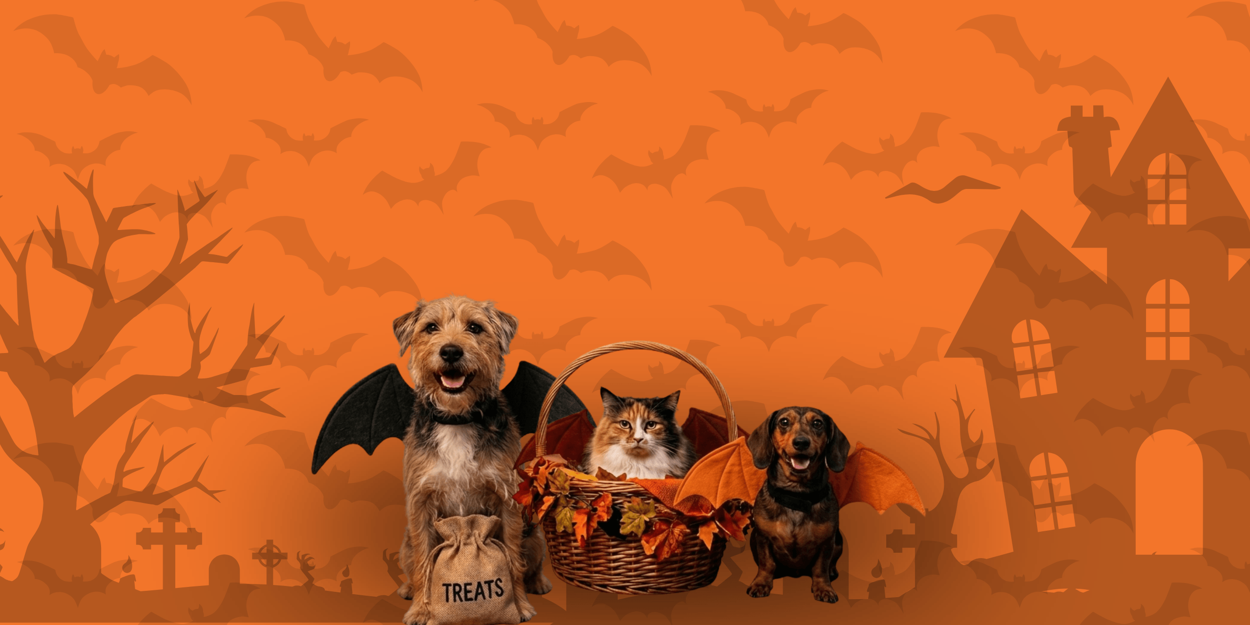 Celebra halloween con tu mascota